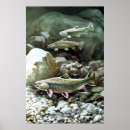Search for brook posters Stream