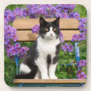 Search for sit coasters Adorable