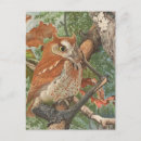 Search for fall tree vertical postcards Oak