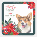 Search for cardigan corgi stickers Animal