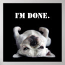 Search for cute camera posters Photography