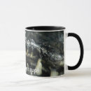 Search for caiman mugs Cayman