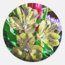 Search for flower pop stickers Flowers