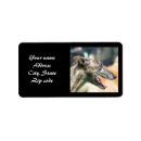 Search for greyhounds return address labels Pets