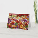 Search for multicoloured cards Flowers