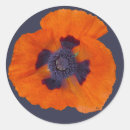 Search for scarlet stickers Flower