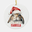 Search for bunnies christmas tree decorations For kids