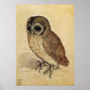 Search for durer posters Albrecht