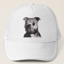 Search for rescued hats For him