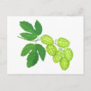 Search for hops postcards Beer