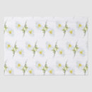 Search for daisies tissue paper White daisy