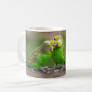 Search for budgerigar mugs Melopsittacus