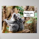 Search for cute koala nursery art Koalas