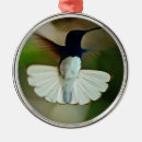Search for birds christmas tree decorations Hummingbird