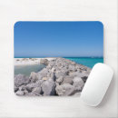 Search for panama mouse mats Gulf coast