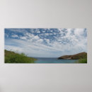 Search for hanauma posters Oahu