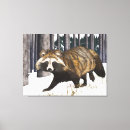 Search for racoon canvas prints Nature