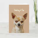 Search for funny hello cards Animal