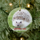 Search for hedgehog christmas tree decorations Cute