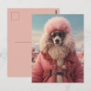 Search for artic postcards Winter