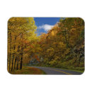 Search for autumn stamp magnets Road