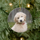 Search for mixed breed dog christmas tree decorations Puppy
