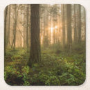 Search for pacific northwest coasters Landscape