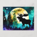 Search for full moon postcards Wildlife