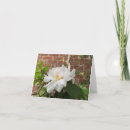 Search for sympathy christmas cards Winter