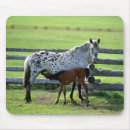 Search for colt mouse mats Field