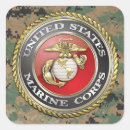 Search for marine envelope seals Patriotic