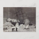 Search for polar exploration postcards School