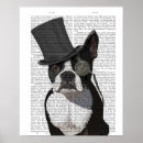 Search for boston terrier posters Cute boston terriers