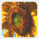 Search for close stickers Botanical