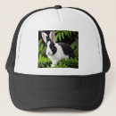 Search for white rabbit hats Pet