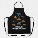 Search for sea turtle aprons Tortoise