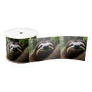 Search for sloth ribbon Slow