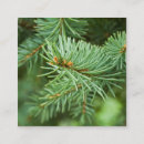 Search for closeup business cards Tree