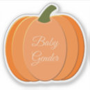 Search for pumpkin vinyl stickers Gender neutral