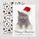 Search for crazy seasonal invitations Cute