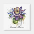 Search for passion magnets Passiflora