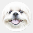 Search for dog face stickers Happy