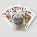 Search for pug playing cards Animal