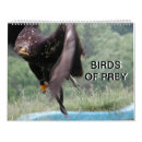 Search for falcon calendars Owls