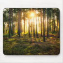 Search for sun shining electronics Forest