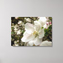 Search for apple canvas prints White