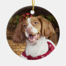 Search for brittany spaniel christmas tree decorations Xmas