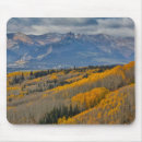 Search for grove mouse mats Darrell gulin