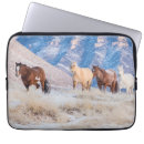 Search for hideout Ranch