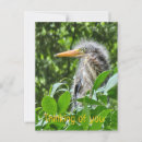 Search for think green postcards Nature